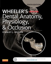 Image of Wheeler's Dental Anatomy, Physiology, & Occlusion